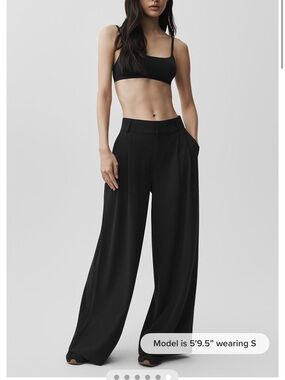 BRAND NEW Alo High Waist Dreamscape Trousers